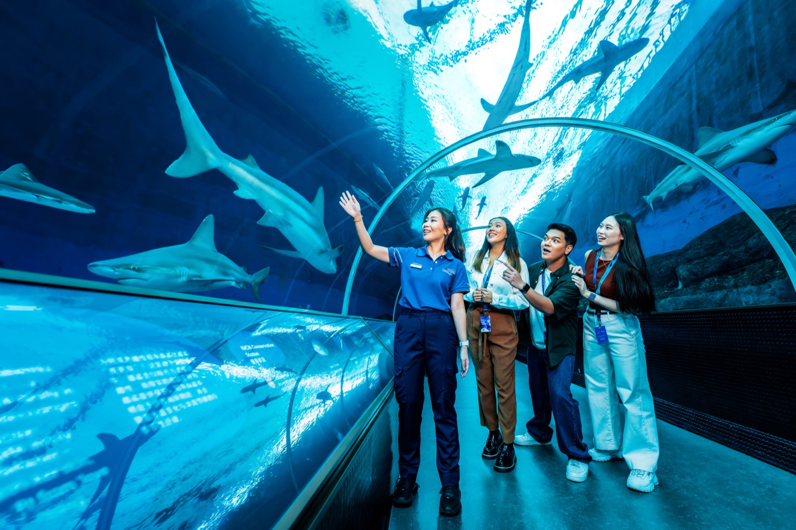 Ocean in Focus: Apex Predators at Singapore Oceanarium
